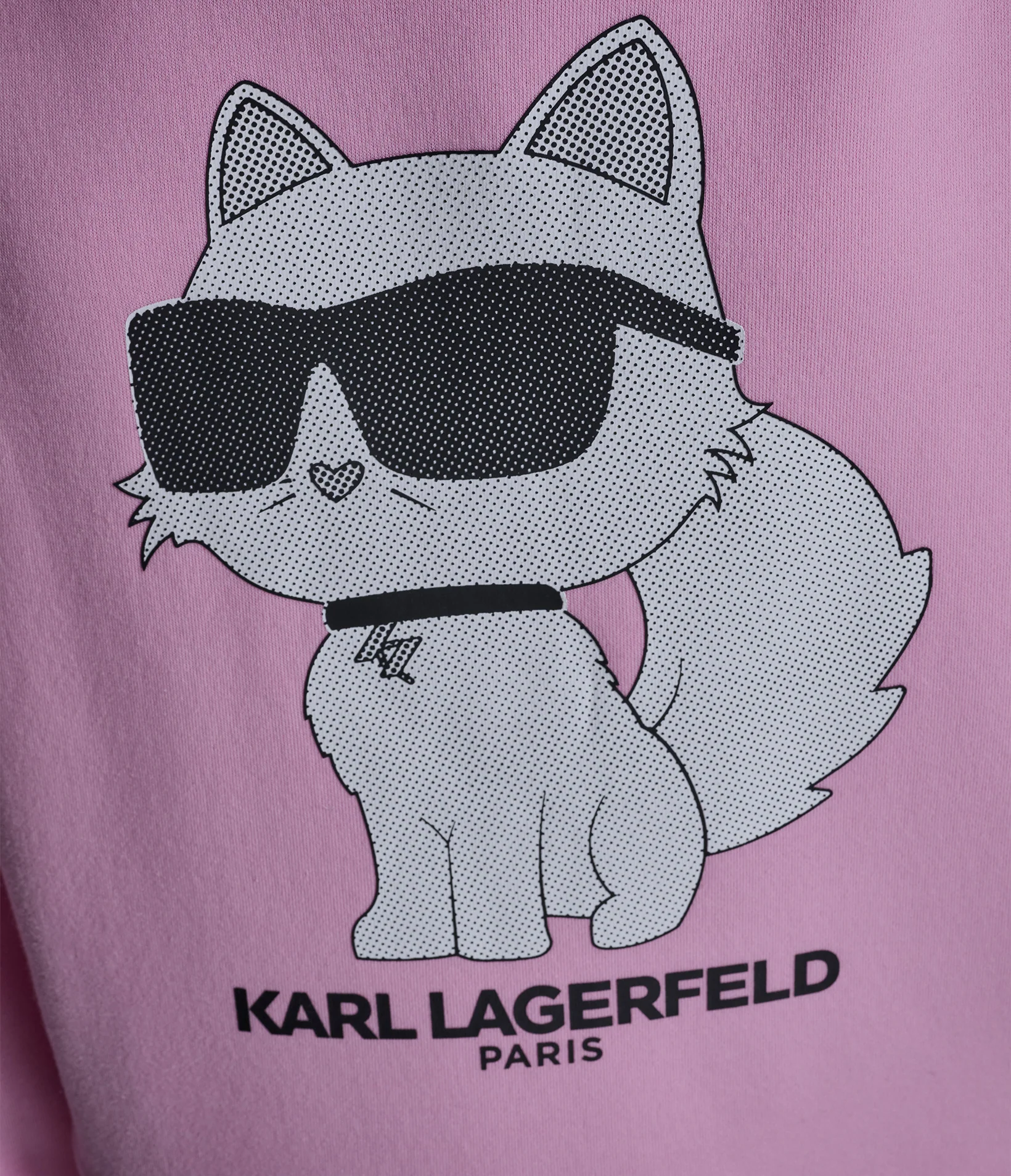 CHOUPETTE TURTLENECK SWEATSHIRT - Image 6